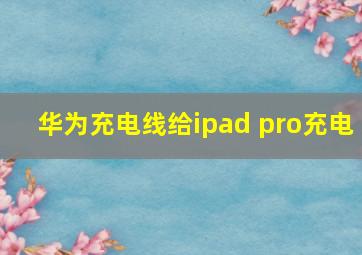 华为充电线给ipad pro充电